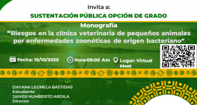 Sustentación Pública Opción de grado